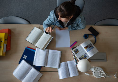 Cuál es mi vocación - Zegel