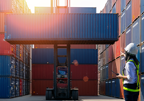 Cómo empezar a importar, descarga de importacion